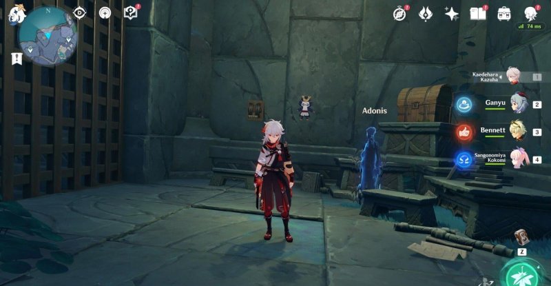 Genshin Impact puzzle in the secret room in the Gulch 2