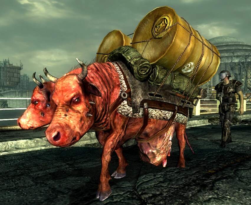 Die interessantesten Paschas und Referenzen in Fallout - Zweiköpfige Kühe