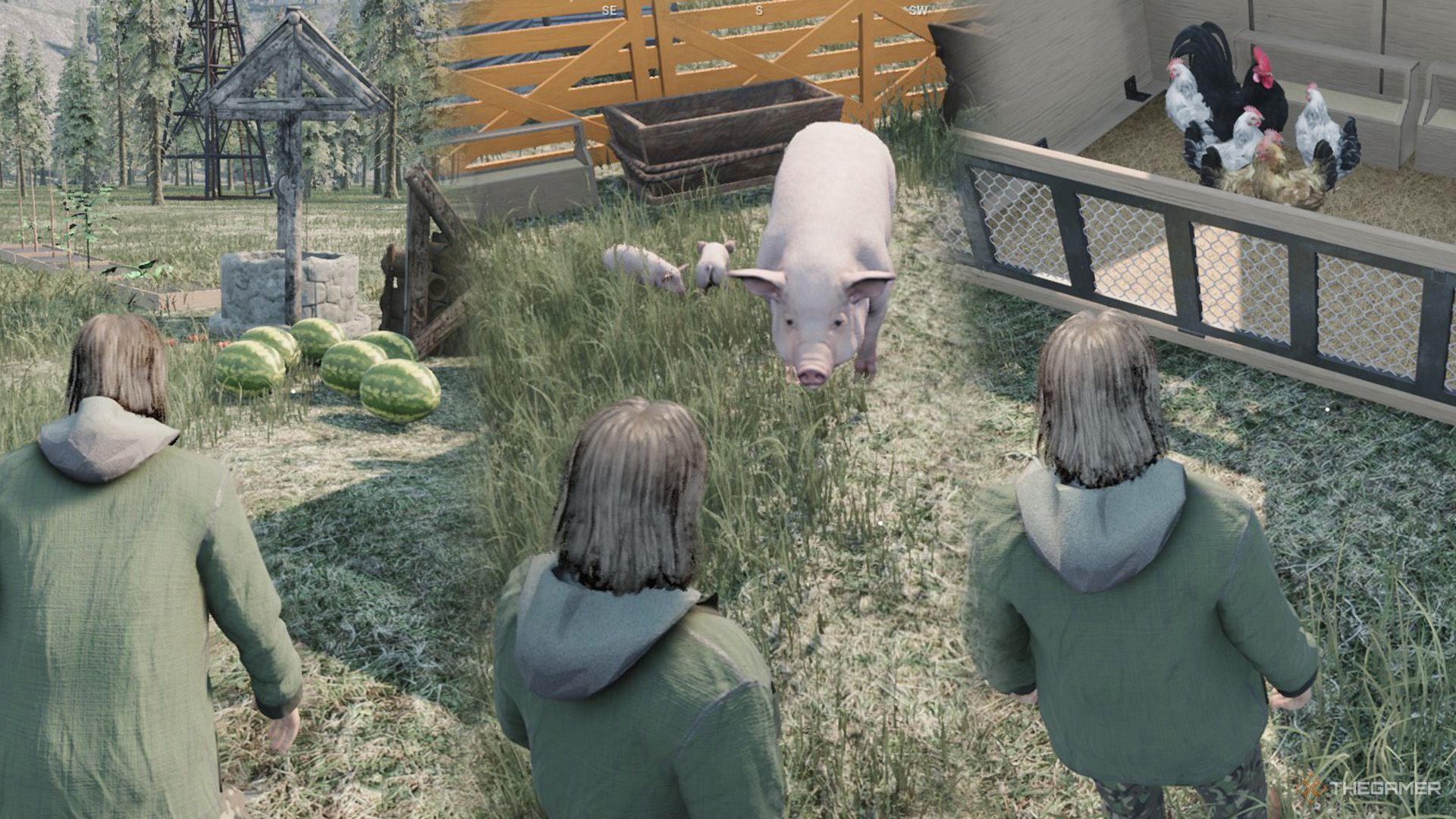 Ranch Simulator: Гайд для новичков – Как заработать и эффективно развивать ранчо