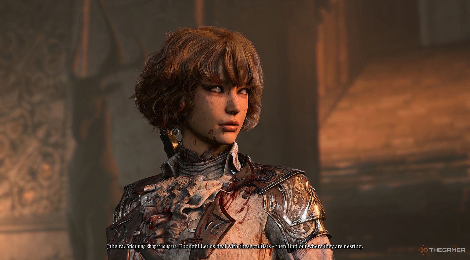 Bladesinger Wizard glances aside toward Jaheira during dialogue in Baldur's Gate 3.