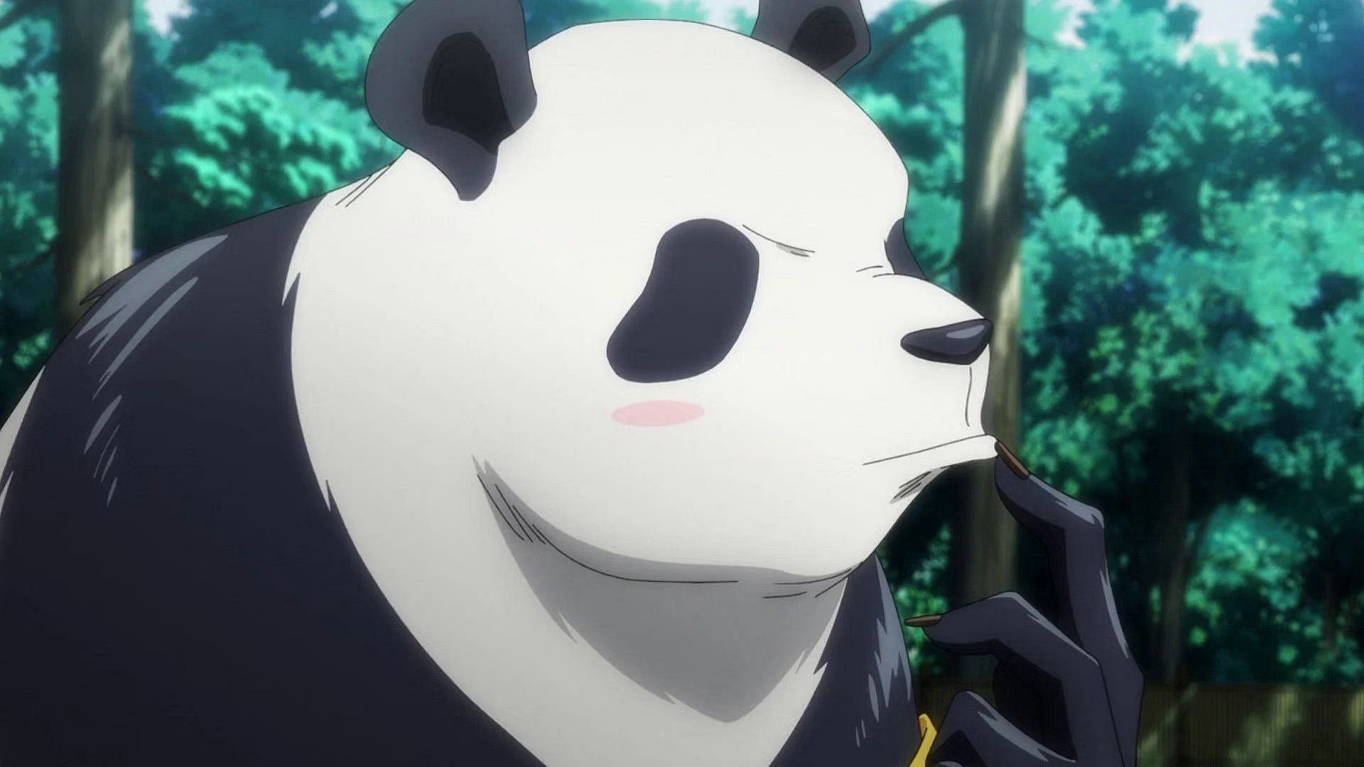Панда как в аниме (image via MAPPA)