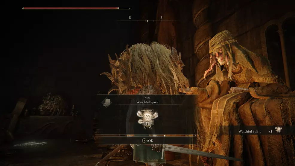 The player is wearing the Divine Beast Head dropped by the boss