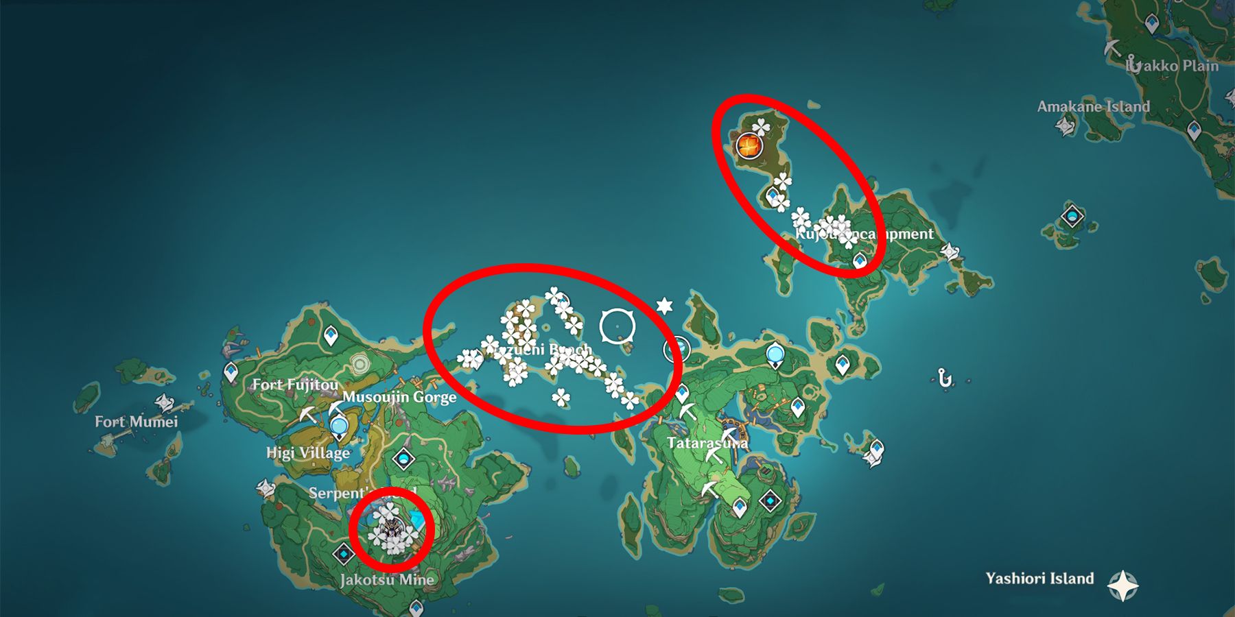 dendrobium locations in genshin impact