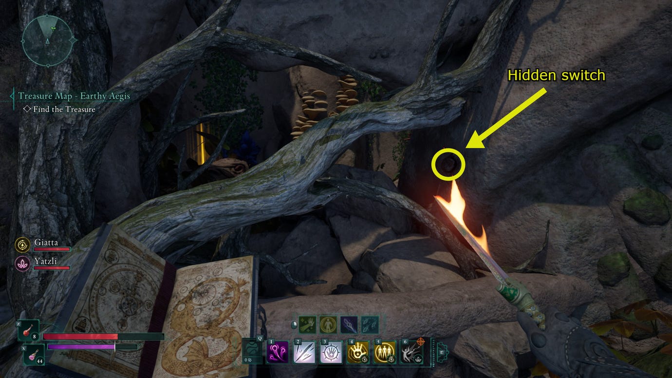 A first-person view in Avowed showing a hidden switch located in a gnarled mass of roots.