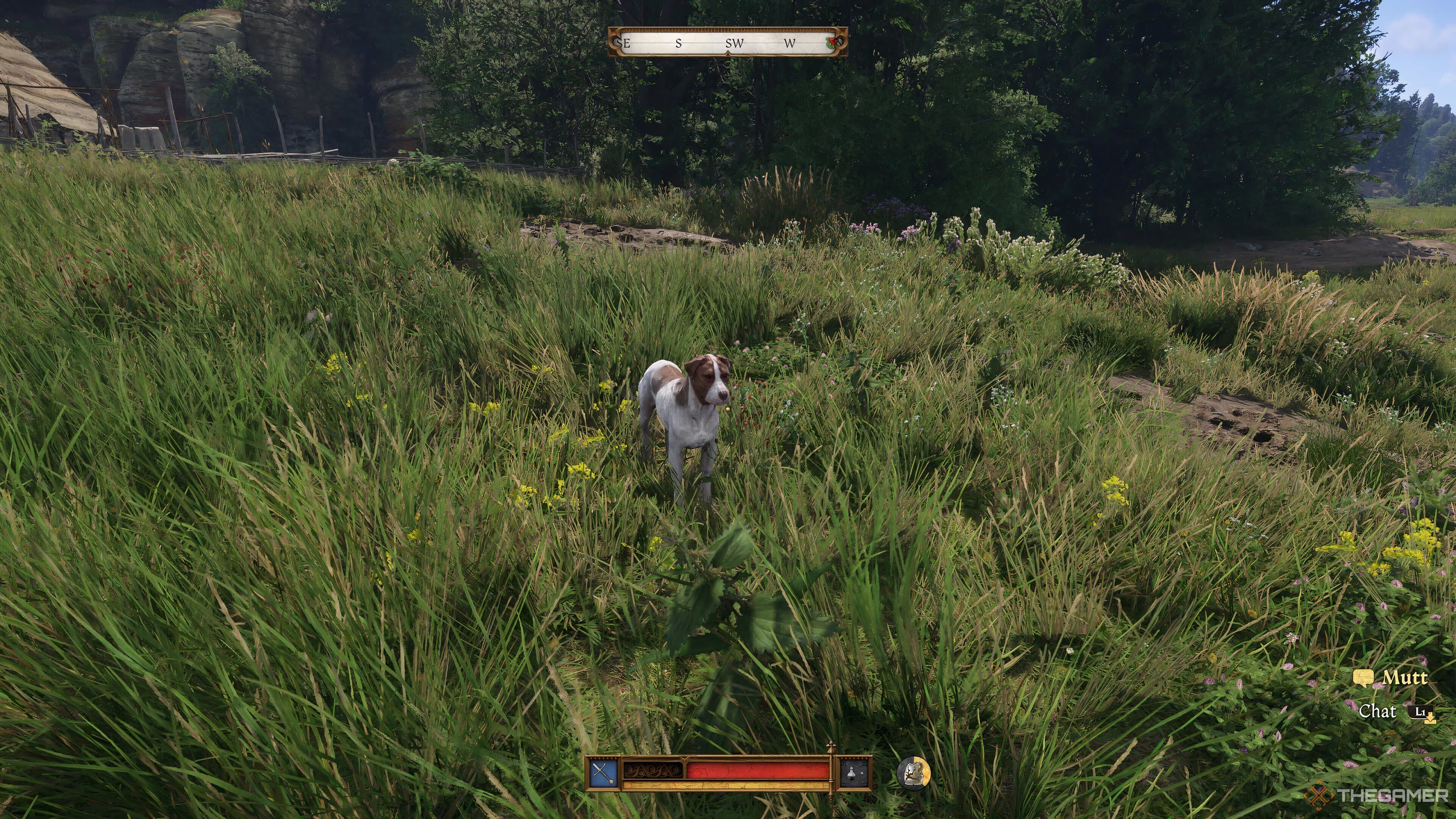 A dog in a field in Kingdom Come: Deliverance 2.