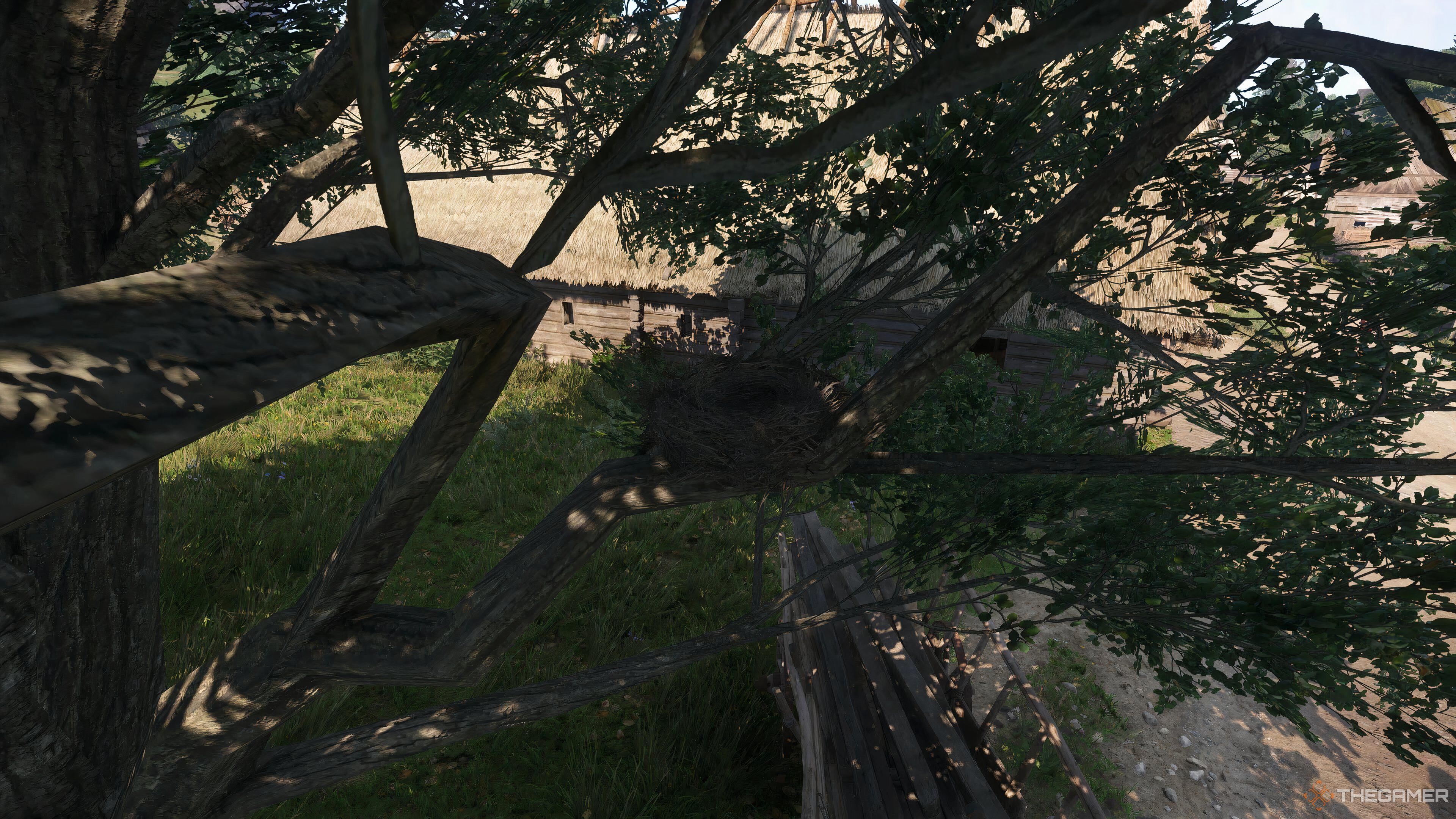 A nest in a tree in Kingdom Come: Deliverance 2.