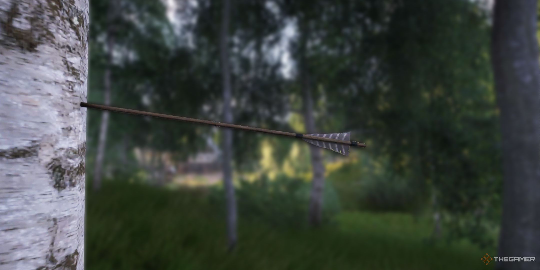 KCD2 Arrow in a tree with a blurred forest