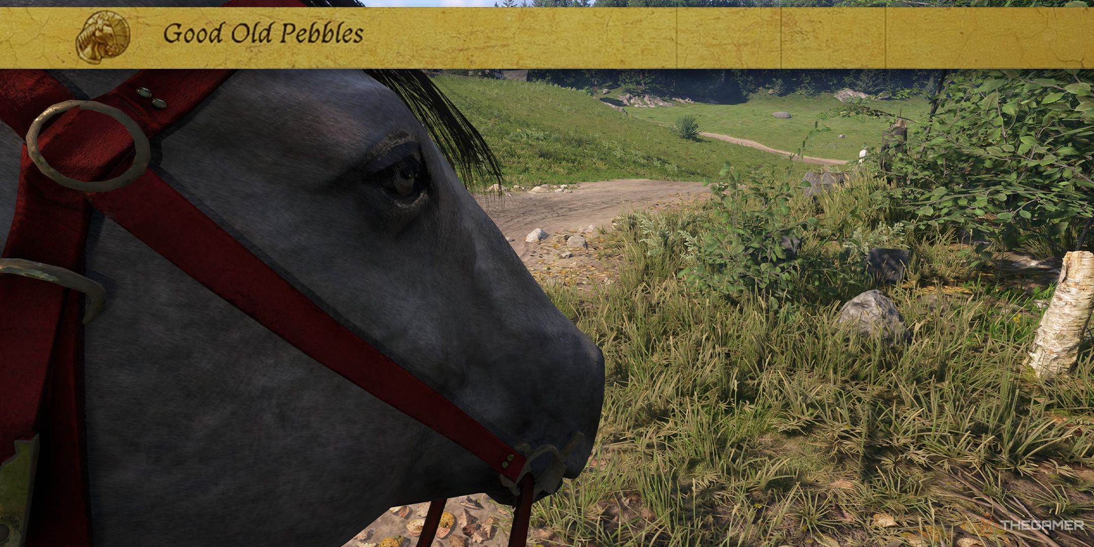 KCD2 Pebbles Side Eye close up with Good Old Pebbles perk