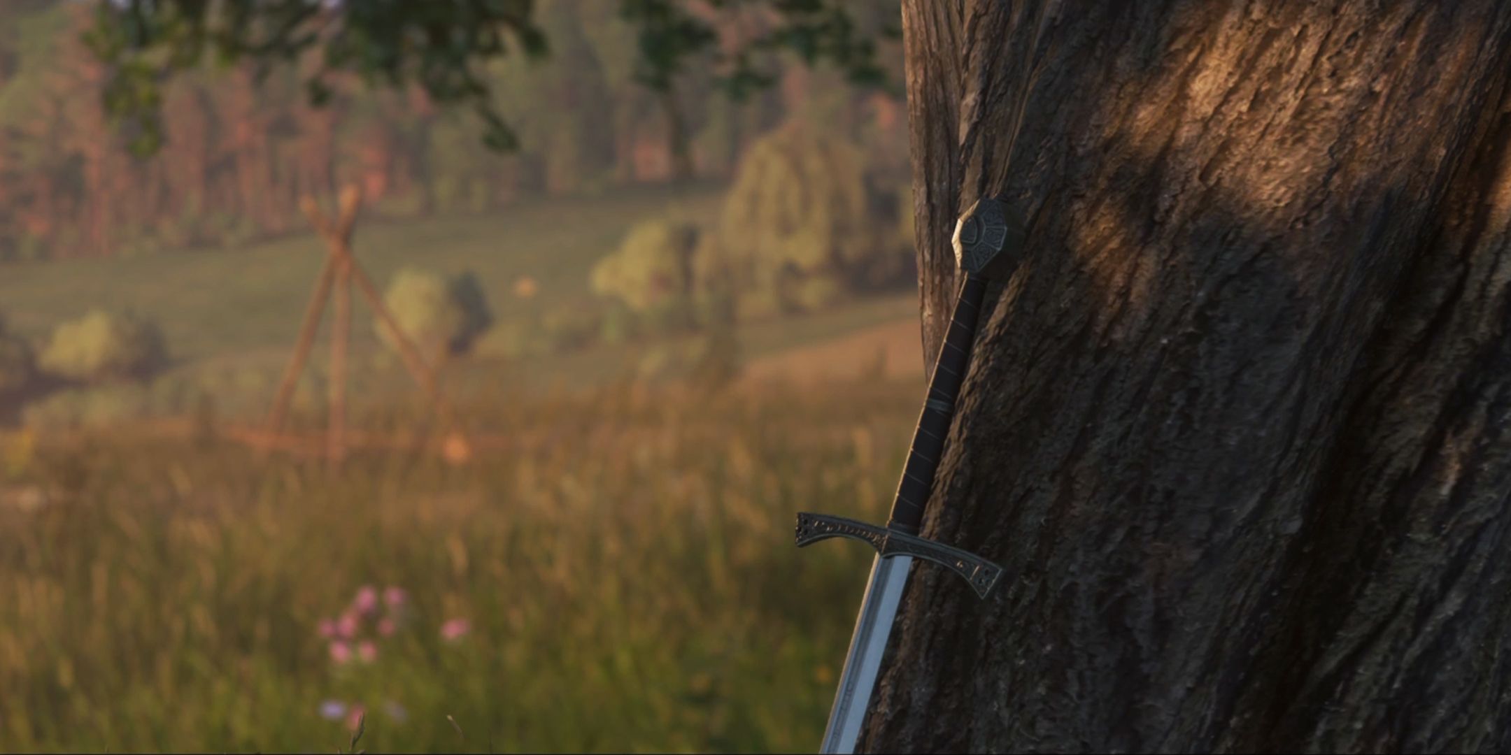 KCD2 Sir Radzig's Sword Leaning Against A Tree In A Field