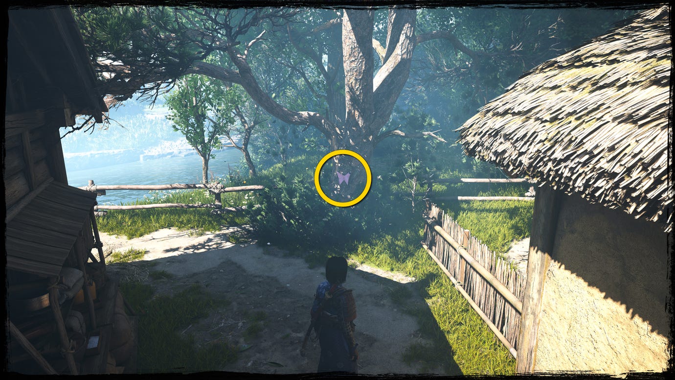 A close-up of a tree in Osaka in Assassin's Creed Shadows, with a yellow circle highlighting the location of a pink Origami Butterfly.