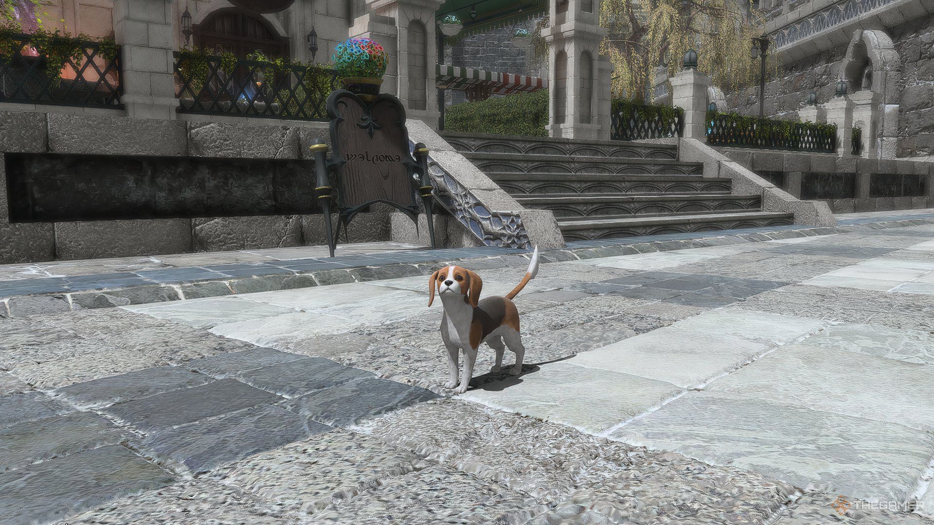 The Royal Hound minion in Final Fantasy 14.