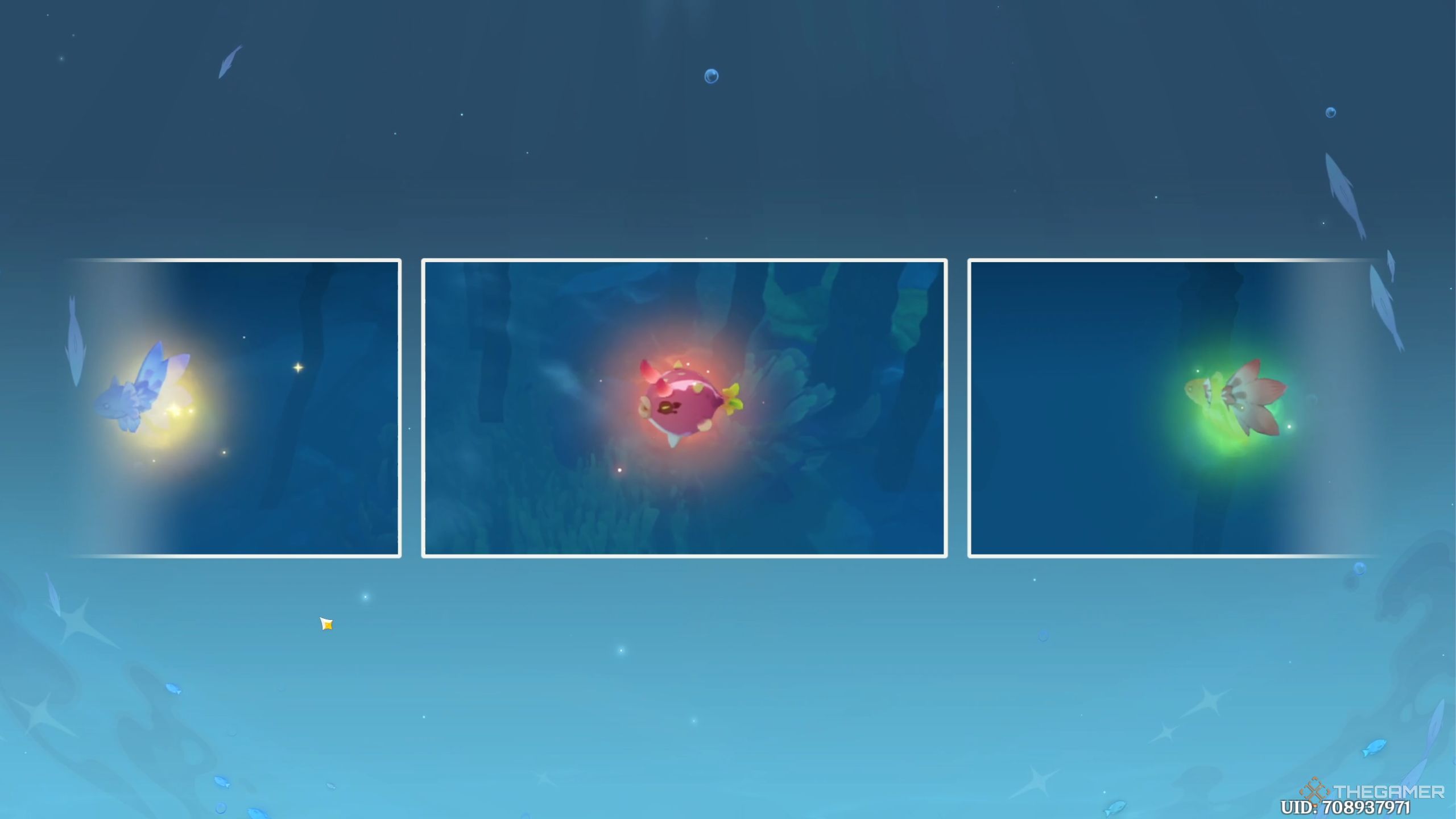 Genshin Impact all special fish in Invasive Fish Wrangler event.