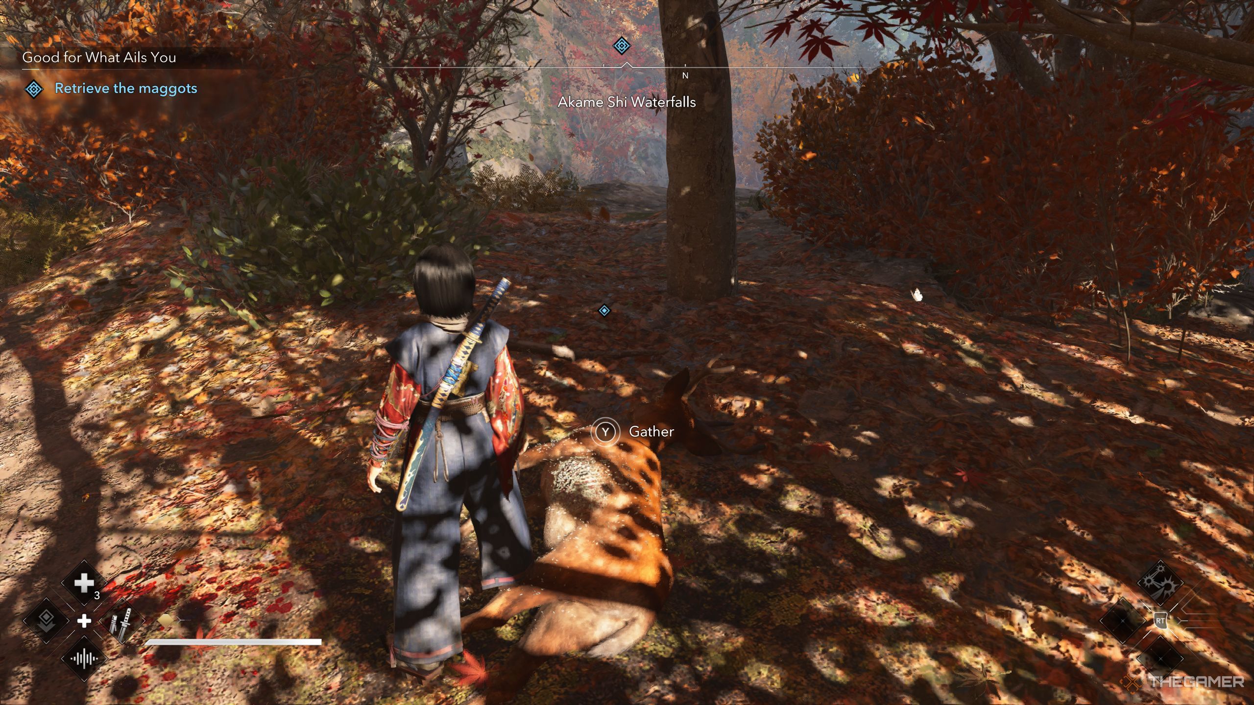 Naoe standing in front of a deer infested with maggots In AC Shadows.