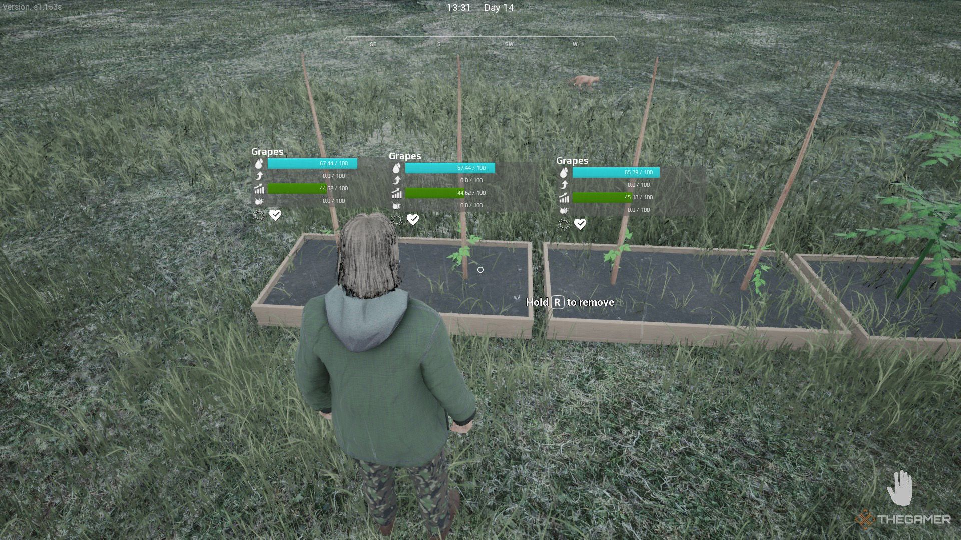 The player is checking the growing grapes that is planted in crop plots in Urban Myth Dissolution Center