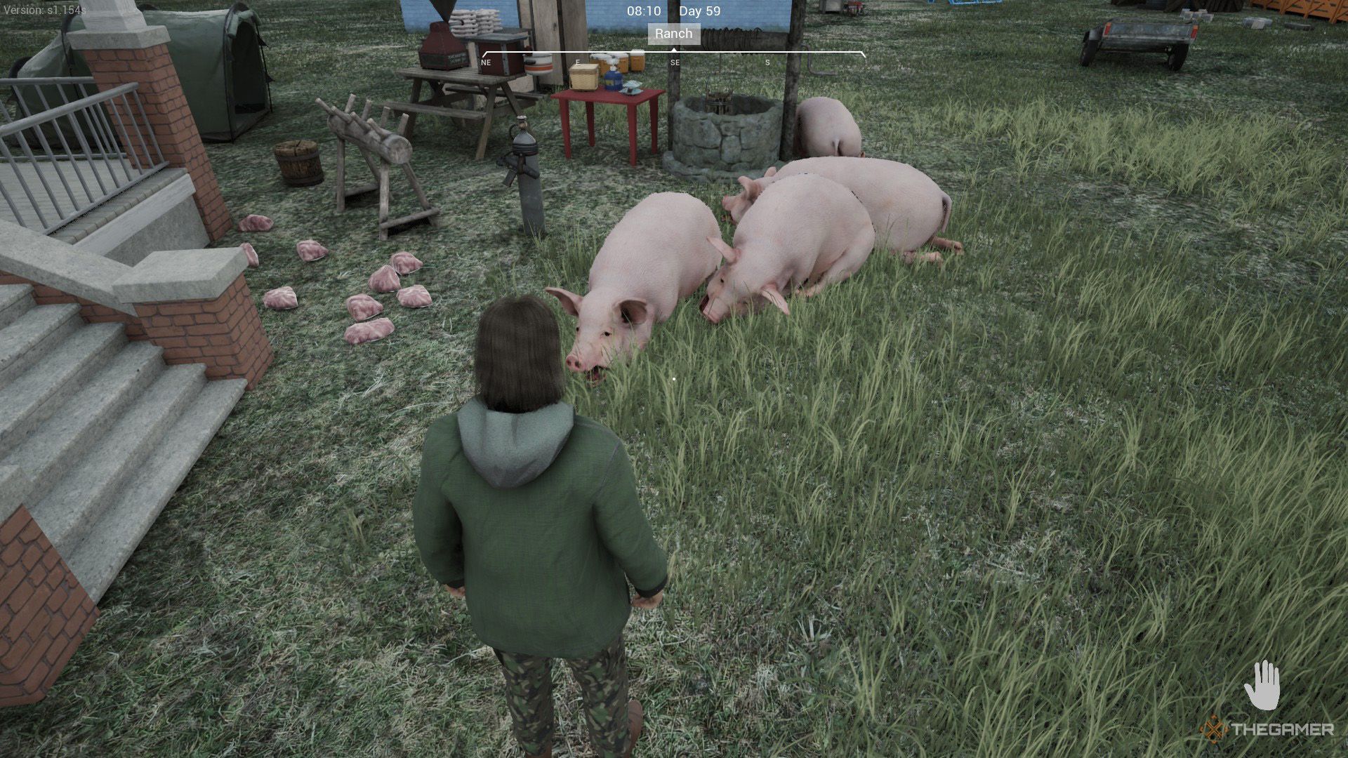 The player is looking at dead pigs next to the porks on the ground in Ranch Simulator