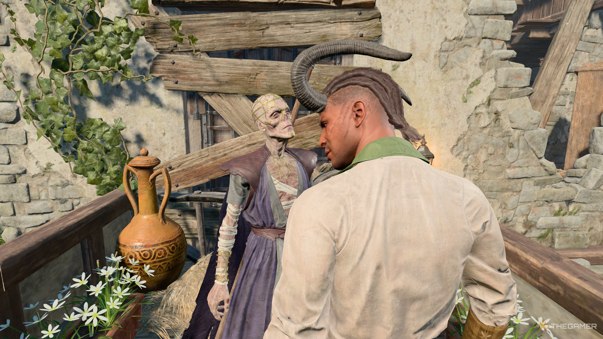 Baldur's Gate 3 image showing Wyll and Withers.