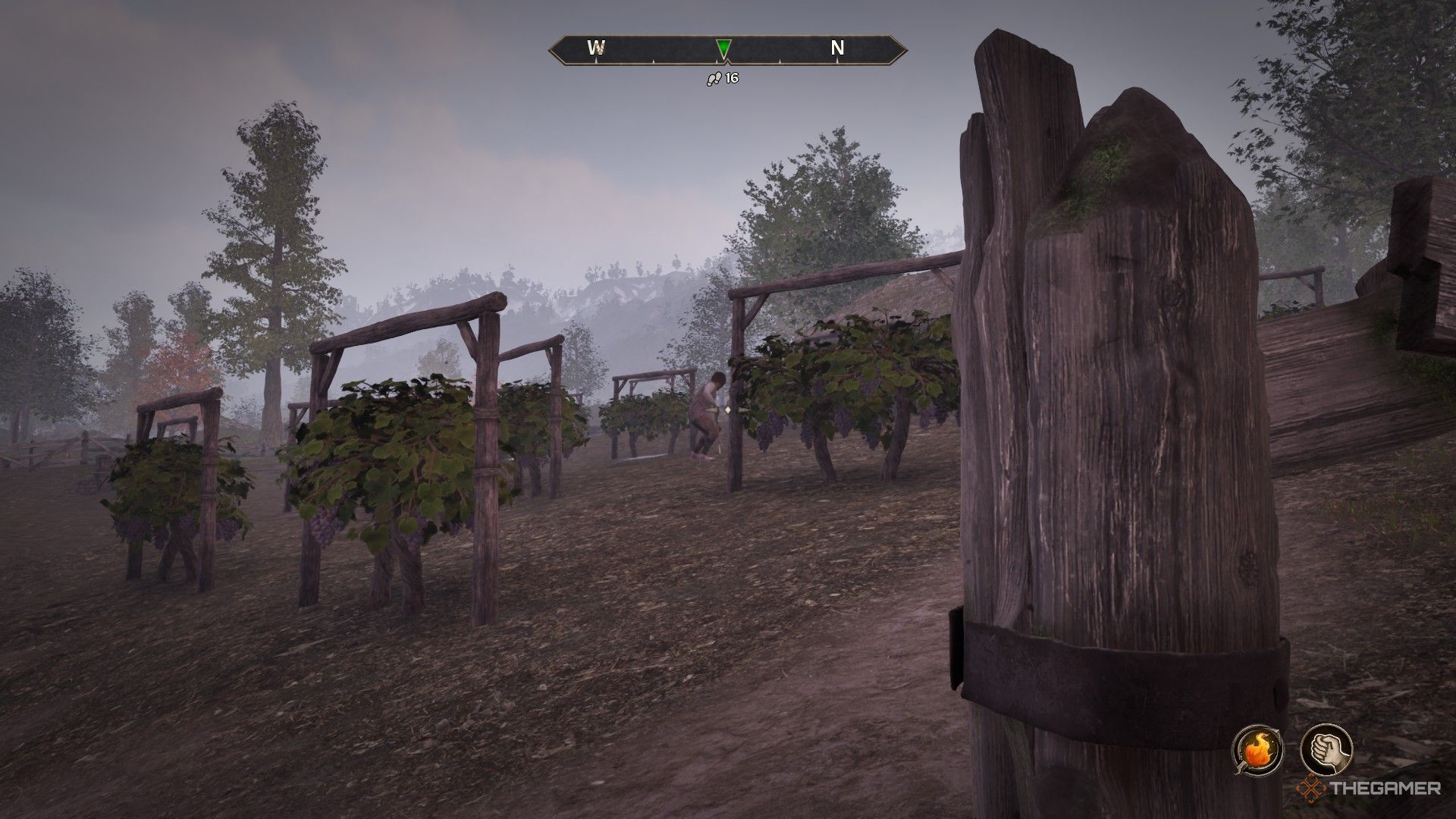 Player spies on David Surilie plowing and tilling in the vineyards in Oblivion Remastered.