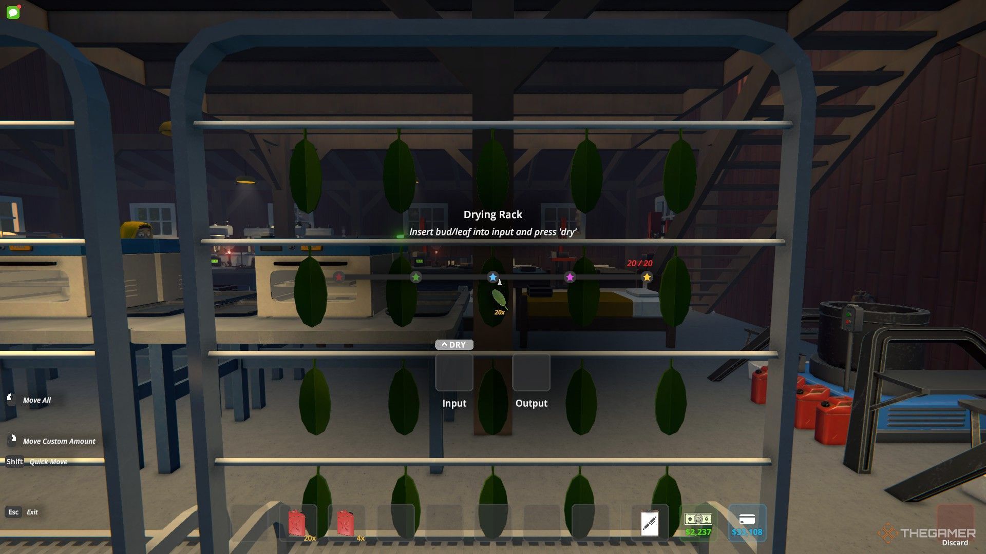 Coca Leaves on a Drying Rack in Schedule 1.