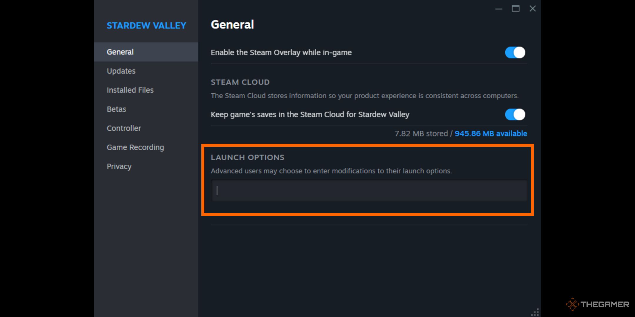 A player clearing the launch options for Stardew Valley.