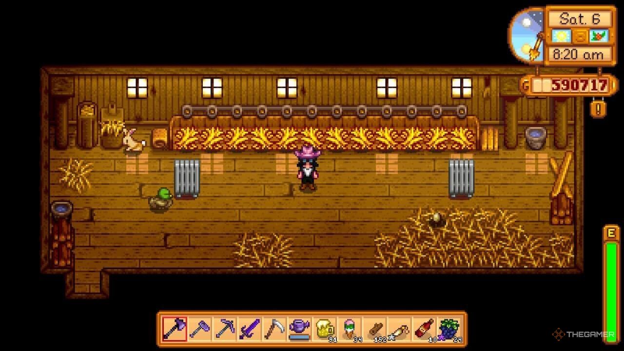 A player standing in a Coop with the feeders full of Hay in Stardew Valley.