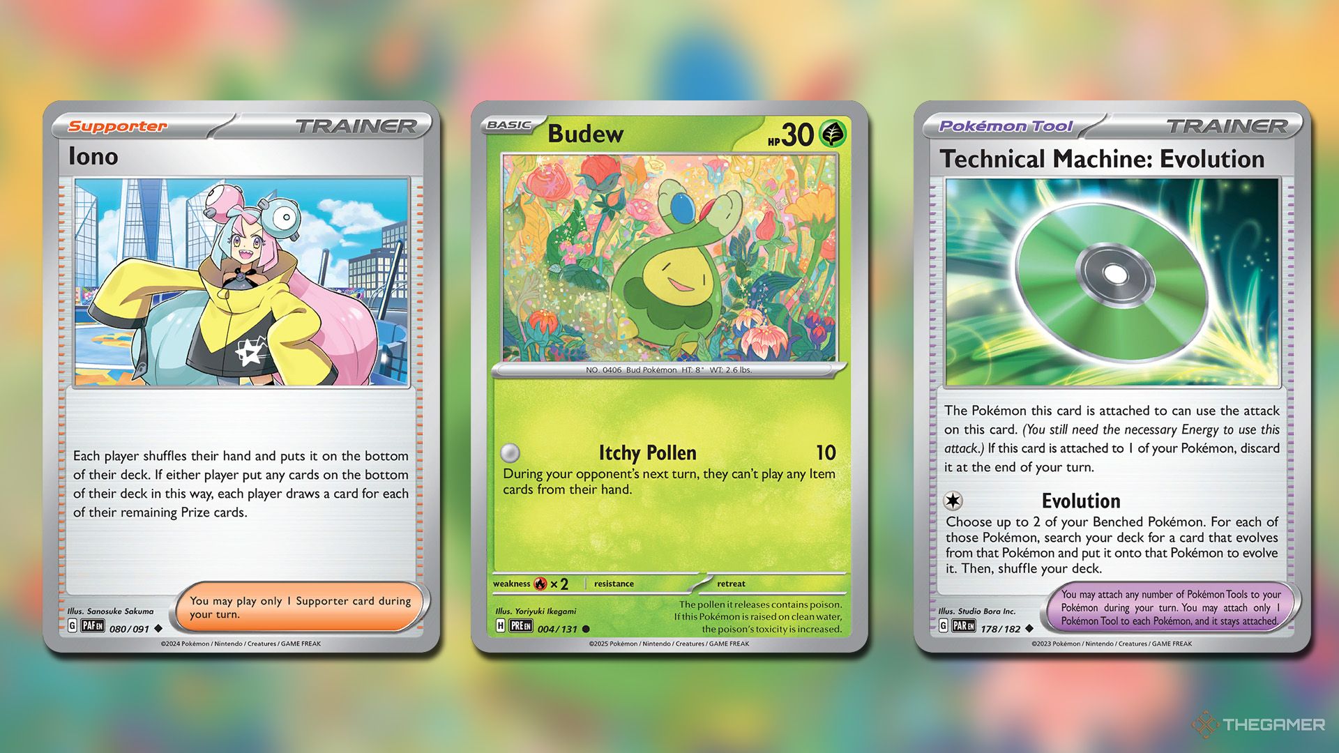 Budew, Iono and Technical Machine Evolution cards in Pokemon TCG.