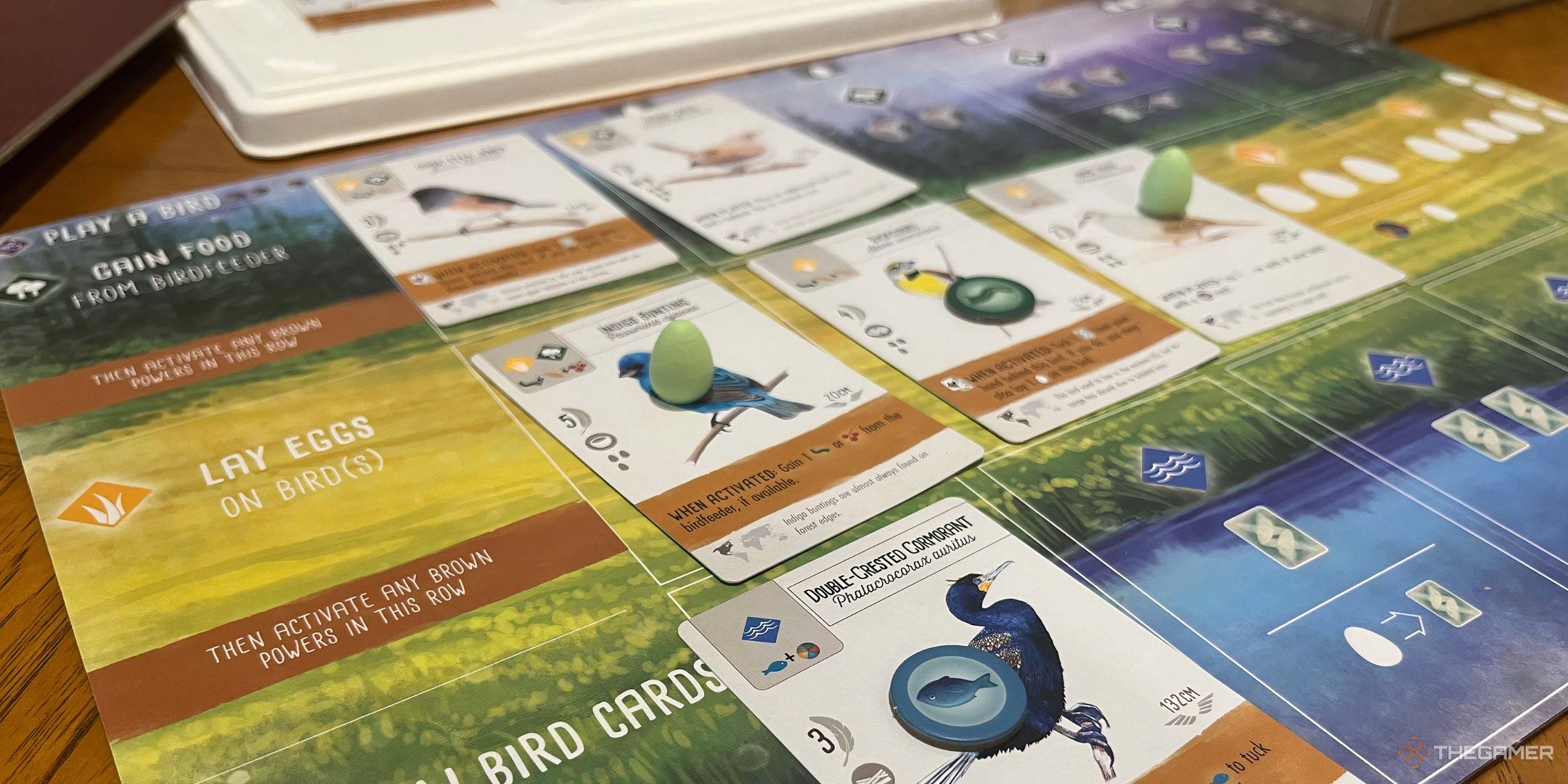 The player mat in Wingspan.