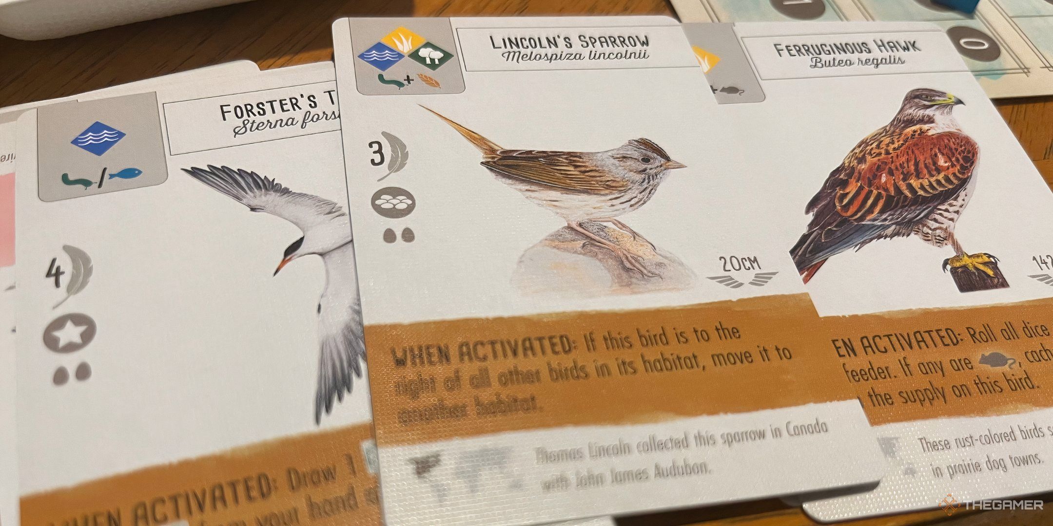 Bird Cards in Wingspan.