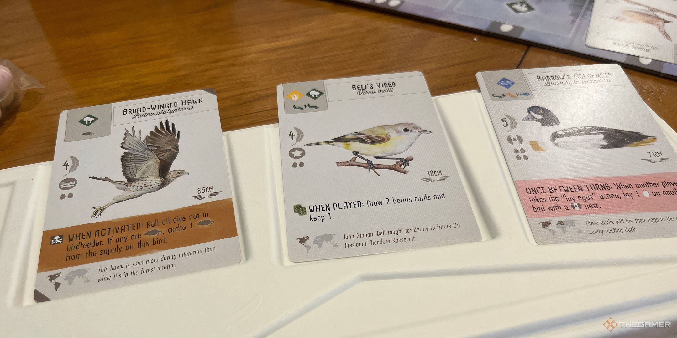 The bird cards in Wingspan.