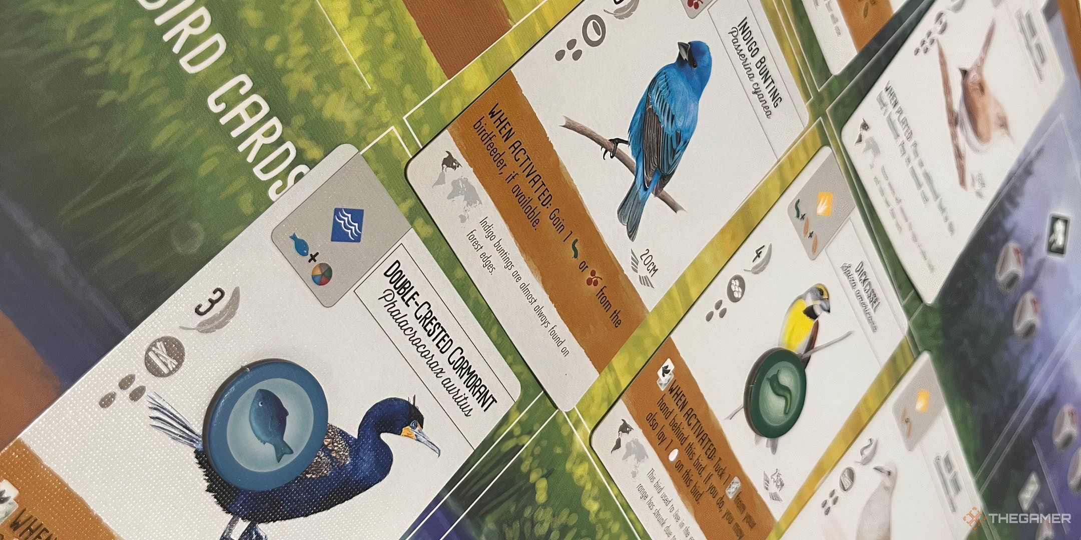 Cached food tokens on a bird card in Wingspan.