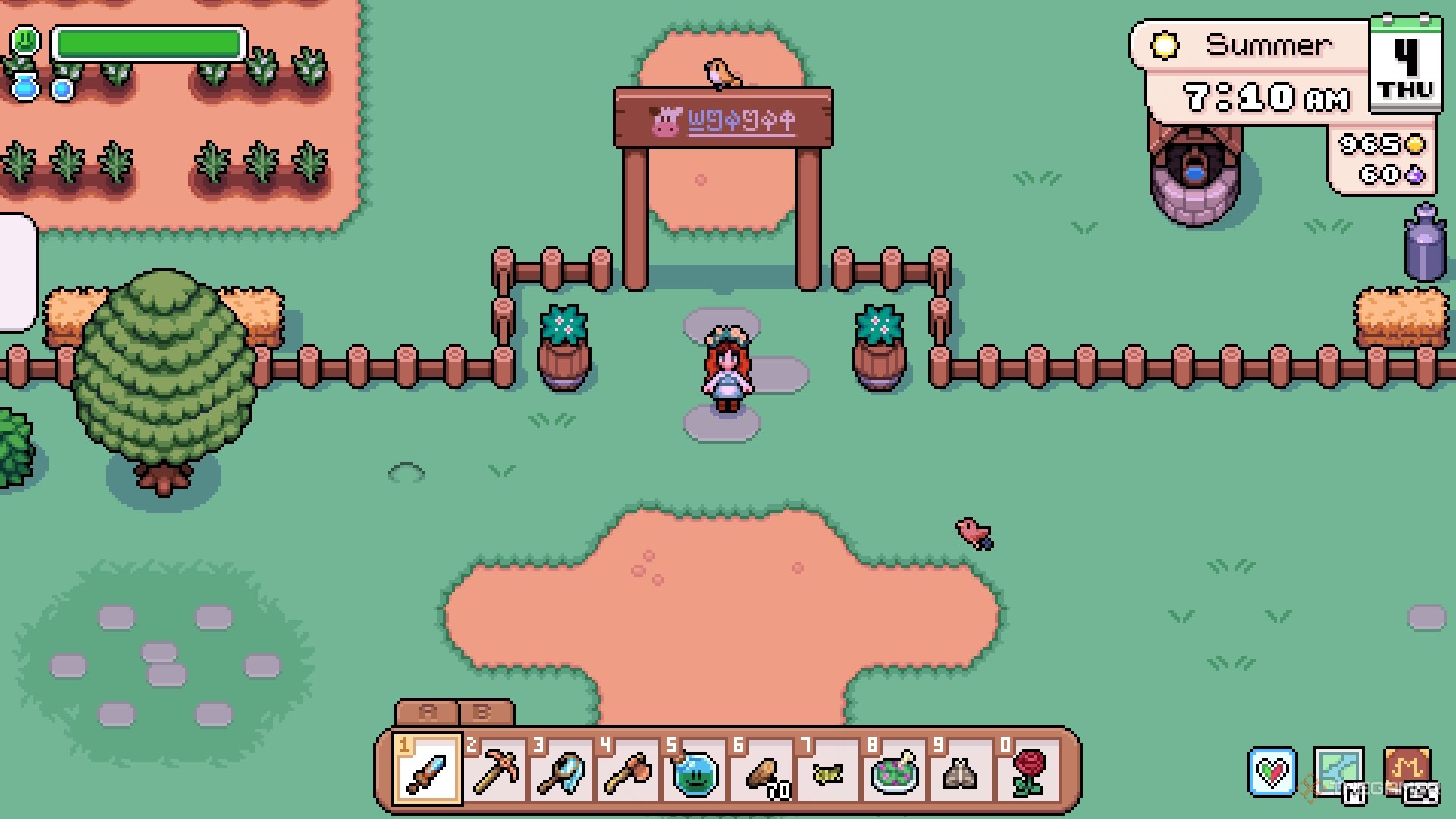 The farmer outside of Hayden's farm gate.