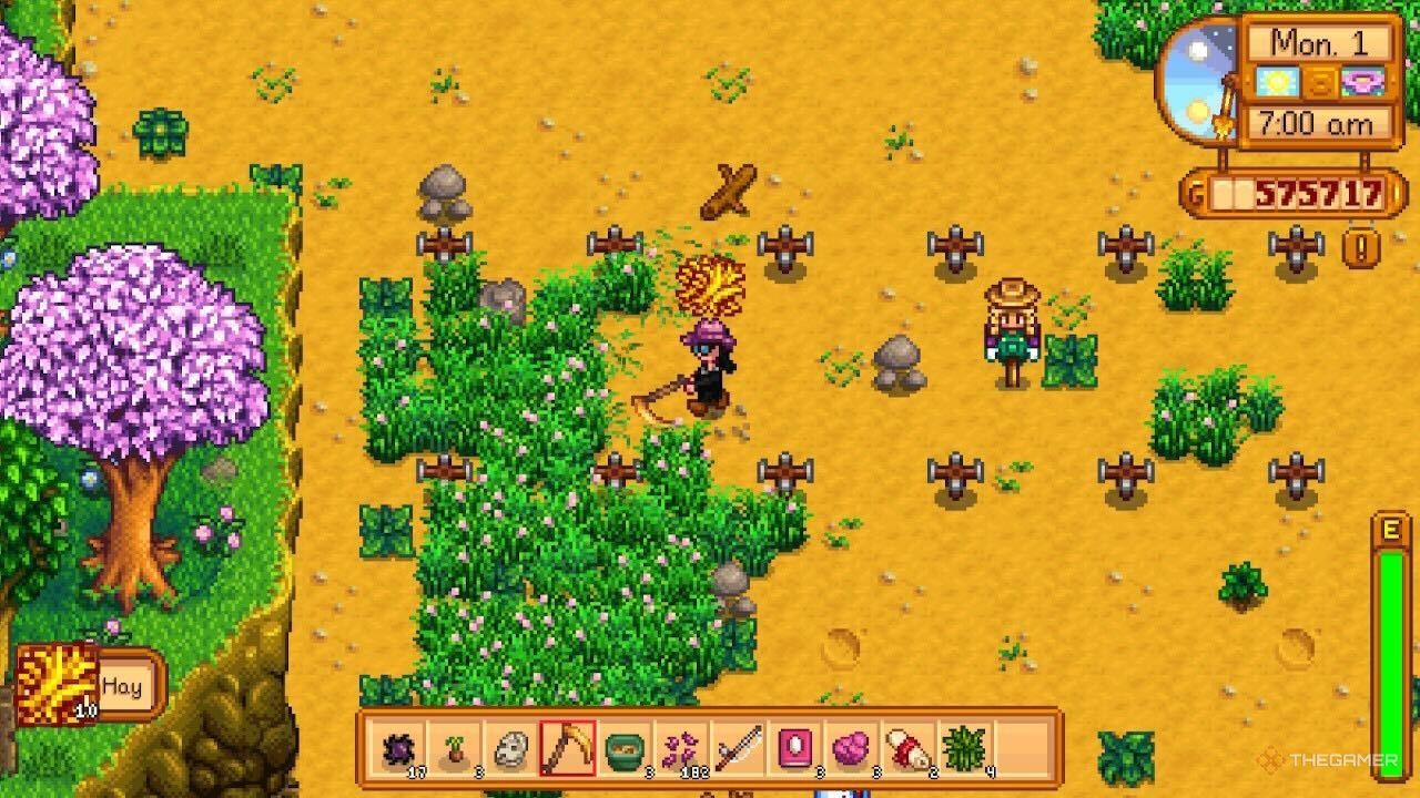 Getting Hay in Stardew Valley by using a scythe in the grass.