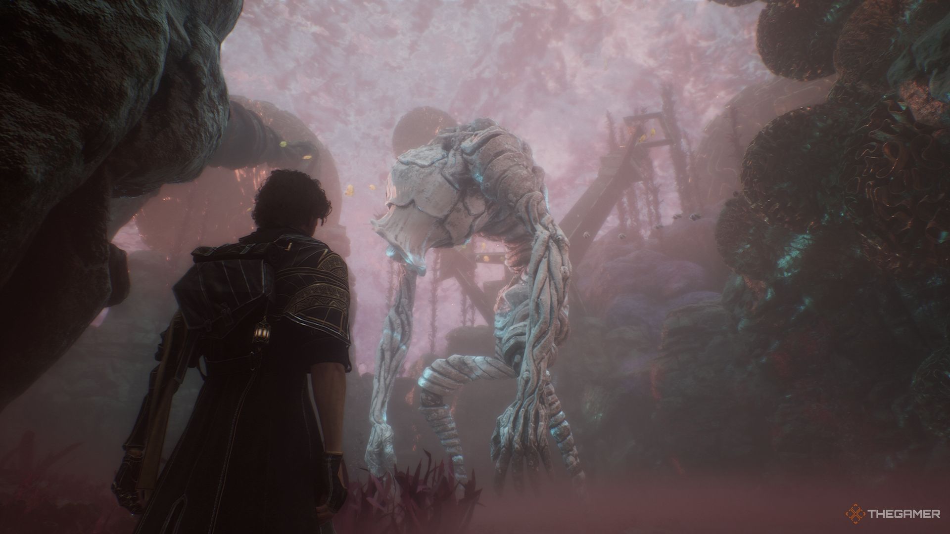 Gustave looking at a white Bourgeon in Clair Obscur Expedition 33.