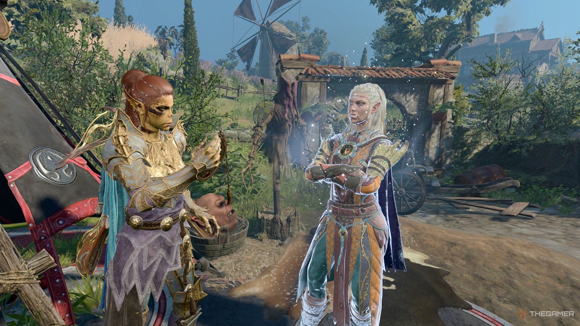 Jaheira with the archer starry form active talking to Lae'zel in Baldur's Gate 3.