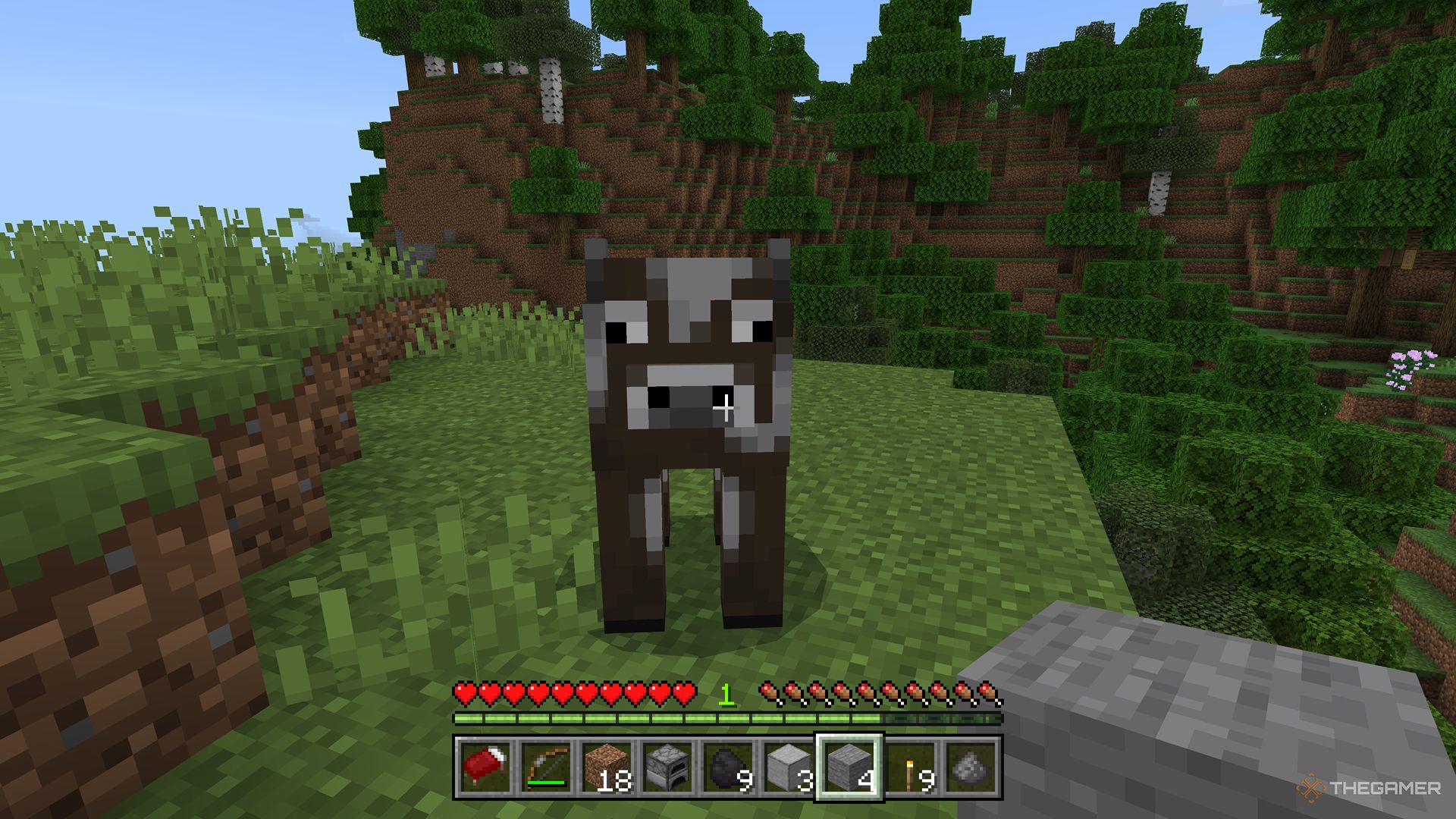 Minecraft screenshot of a cow looking at the player.