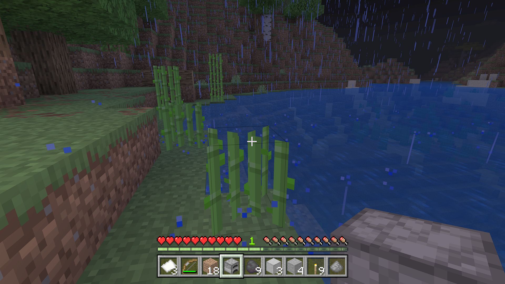 Minecraft screenshot of partly harvested sugar cane.