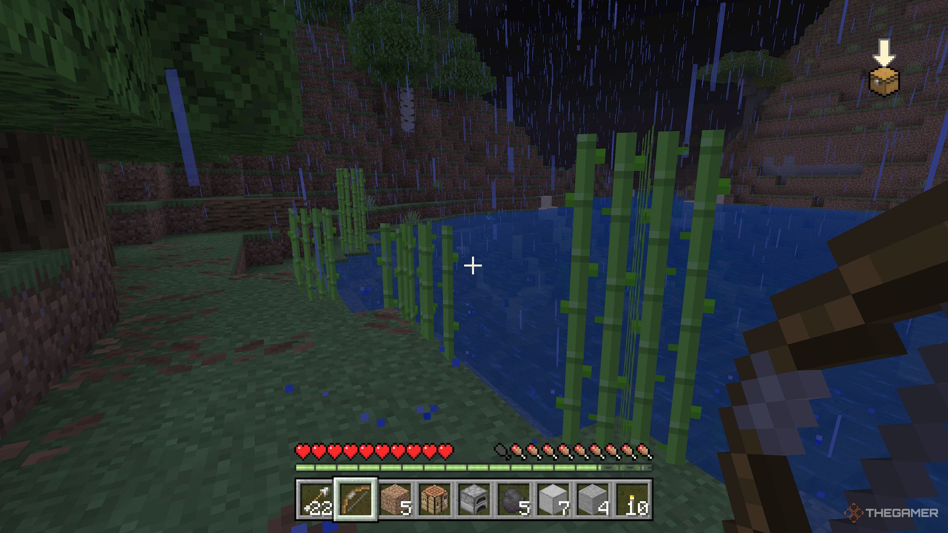 Minecraft screenshot of sugar cane growing next to water.