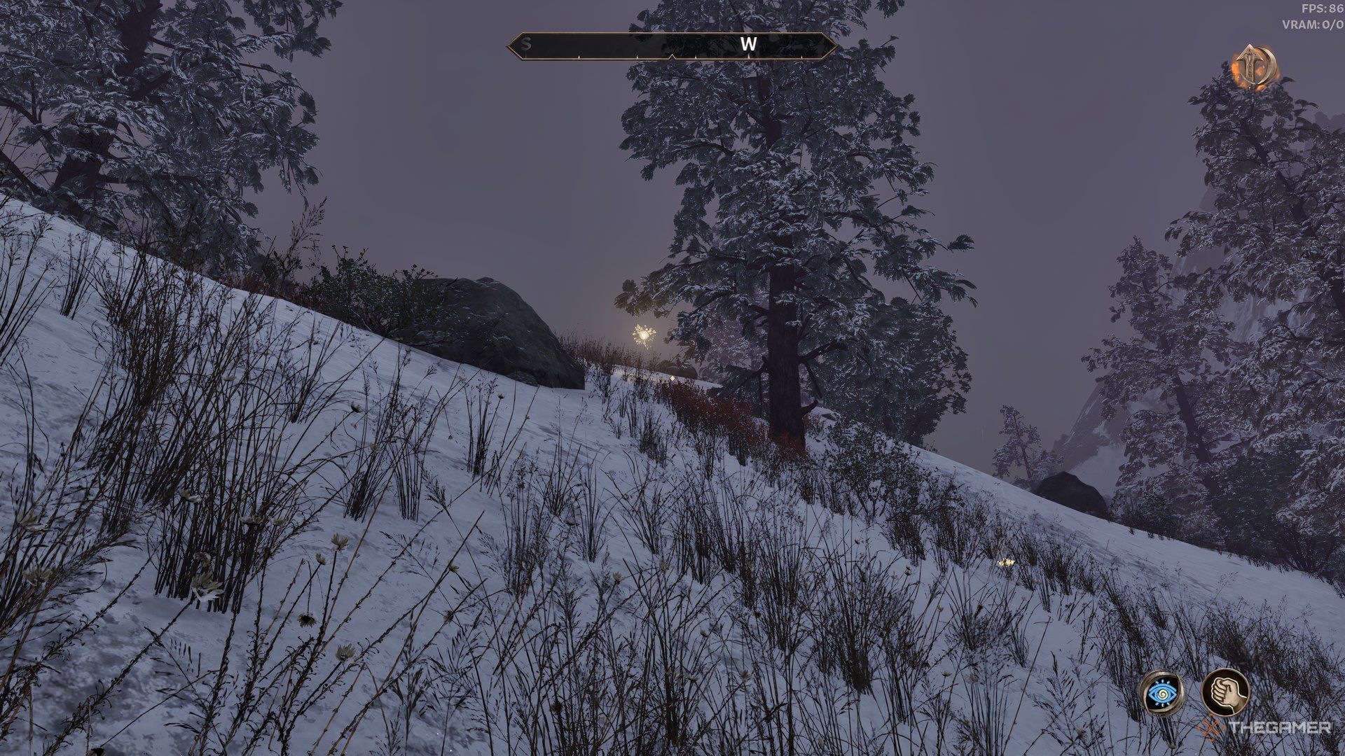 Character stalking a Will-o'the-Wisp in Oblivion Remastered. There is a rock and tree on either side of the wisp.