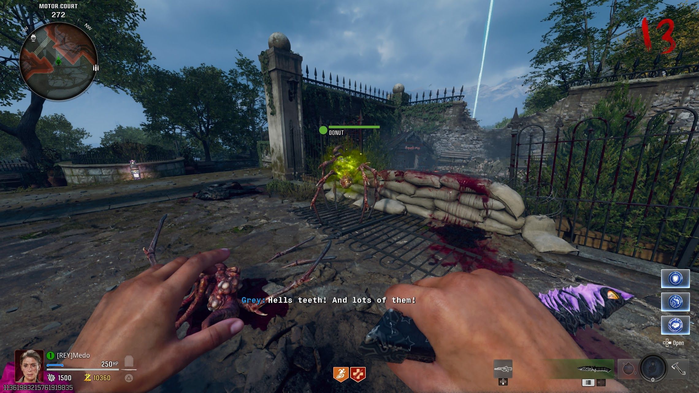 Player standing in front of Donut the friendly pet - bo6