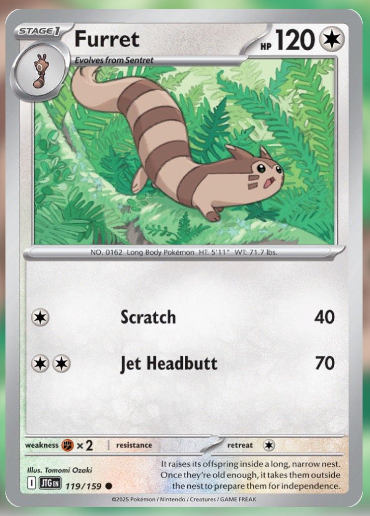 Pokemon TCG Journey Together Set List Furret 119