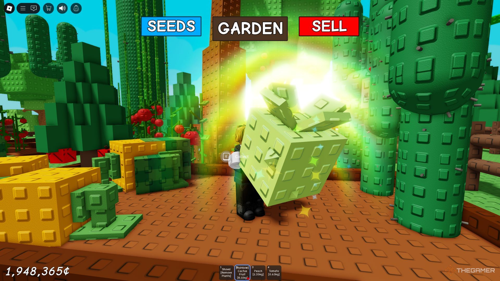 The player character shows a Rainbow cactus fruit in his garden in Grow A Garden.