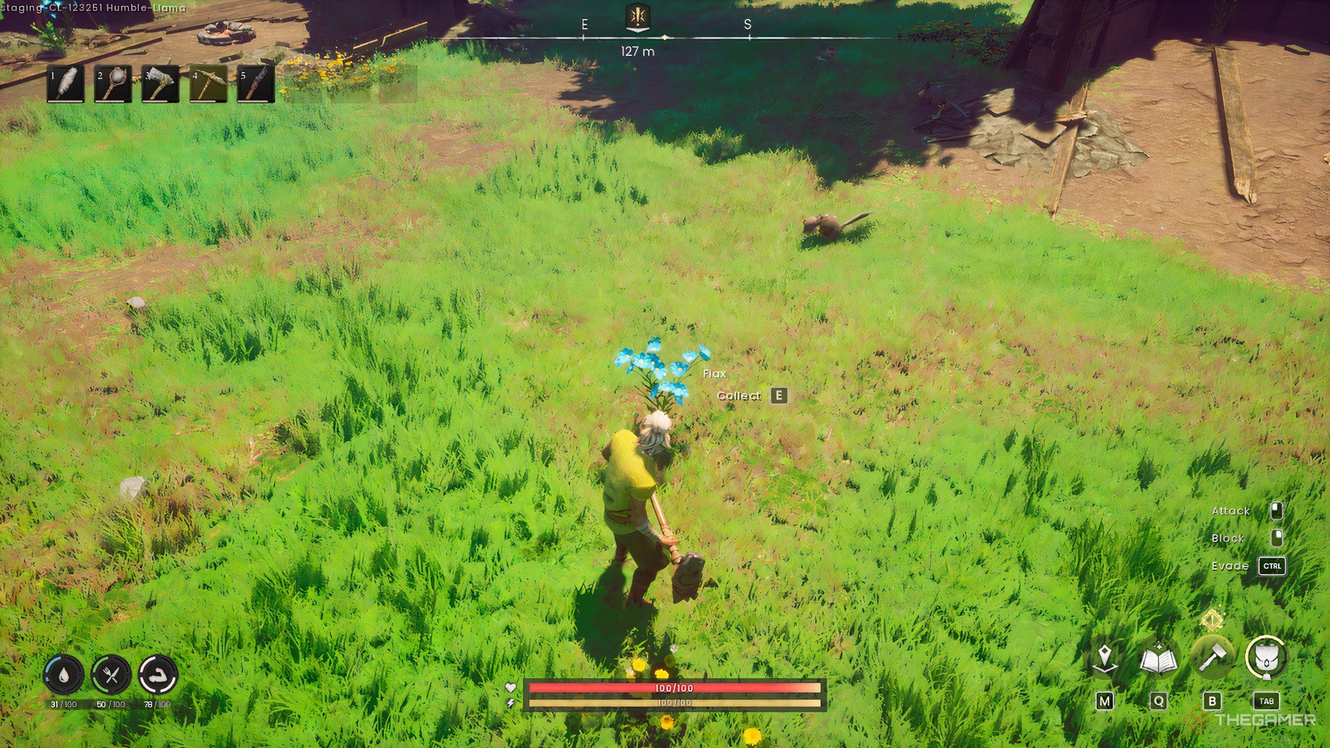 Растение льна в Runescape Dragonwilds.