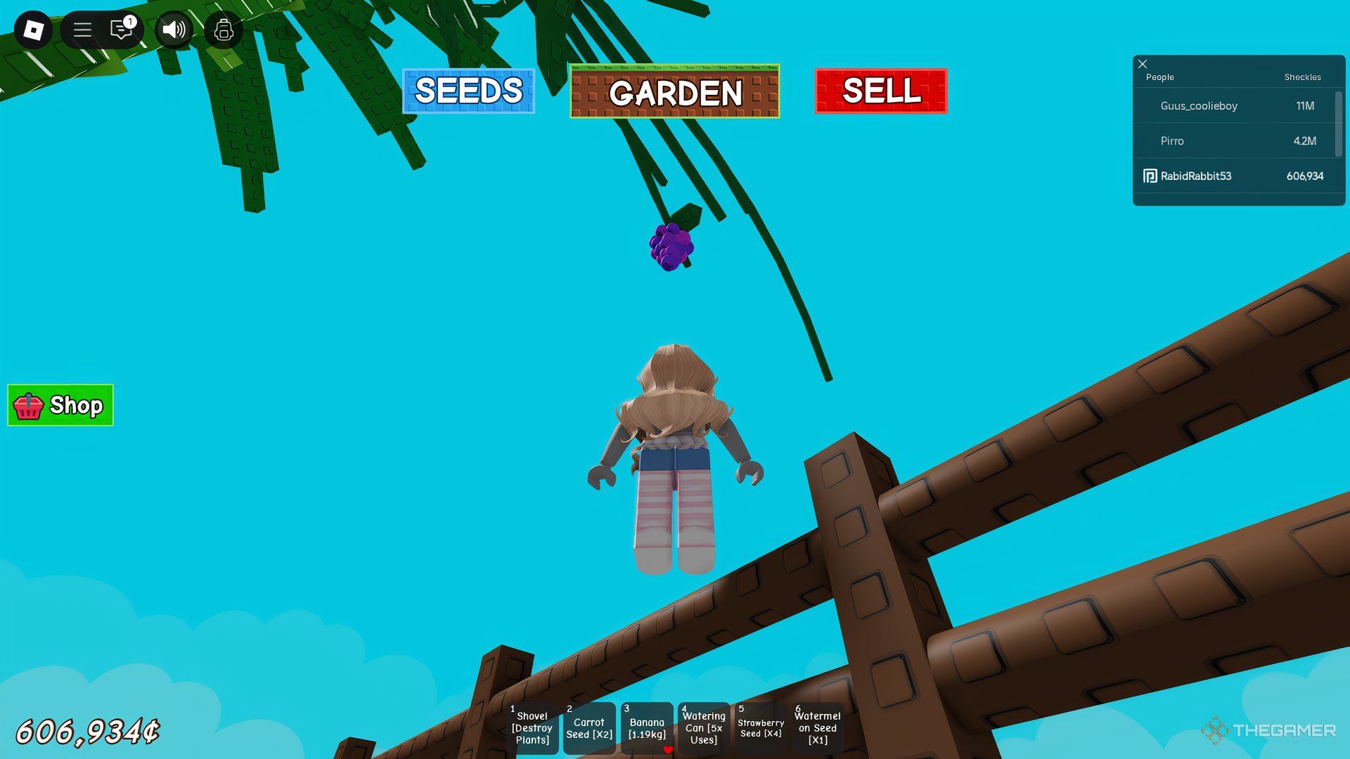 The player is standing on a fence under a grape vine in Roblox: Grow A Garden.