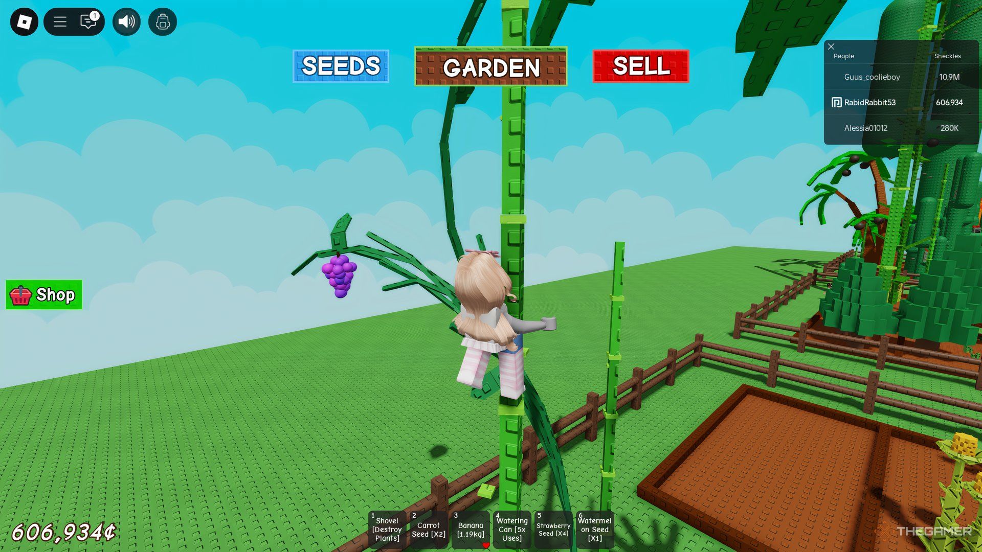 The player is climbing a Bamboo in Roblox: Grow A Garden.