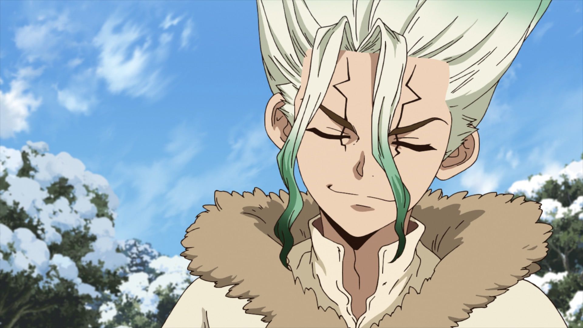Senku Ishigami from Dr. Stone.