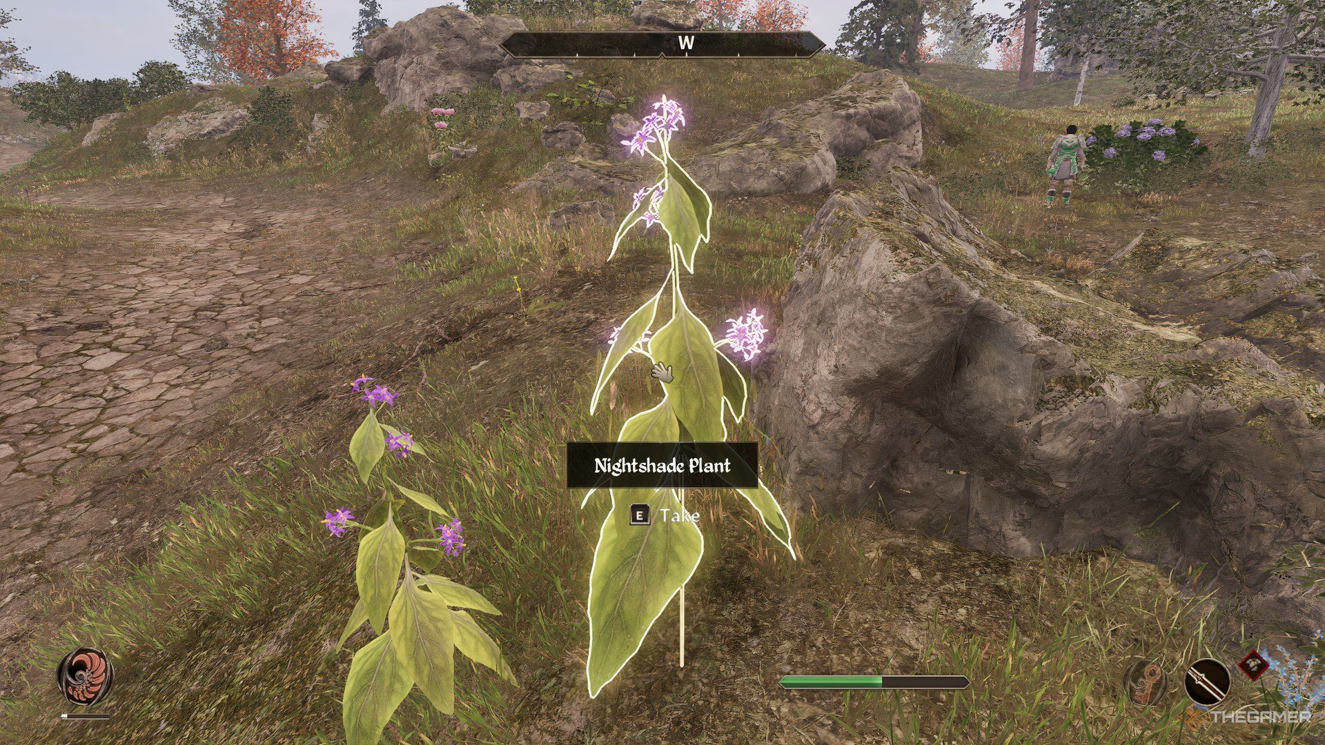 Nightshade plant in The Elder Scrolls IV Oblivion Remastered.