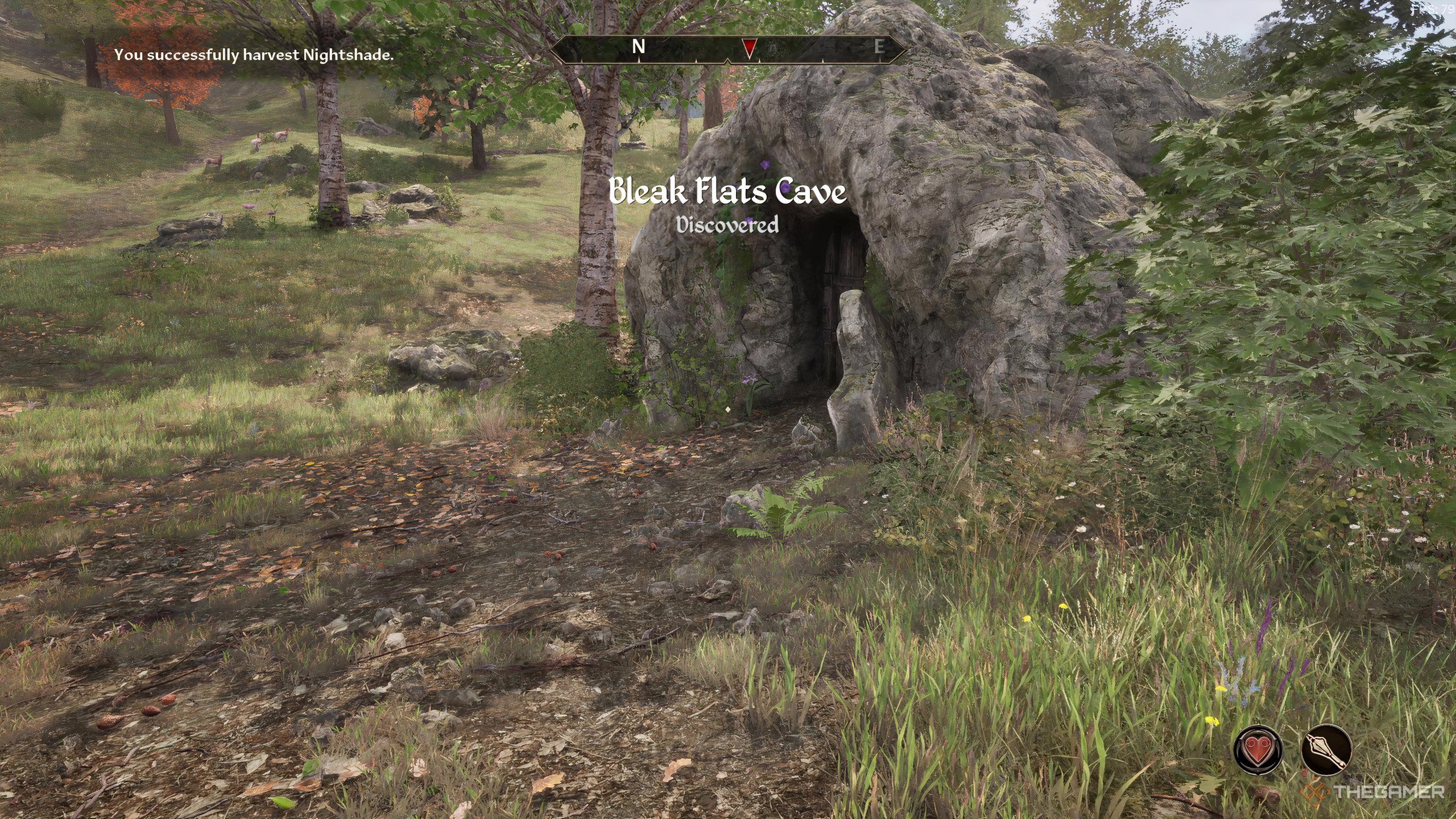 The entracne to Bleak Flats Cave in the overworld in Oblivion Remastered.