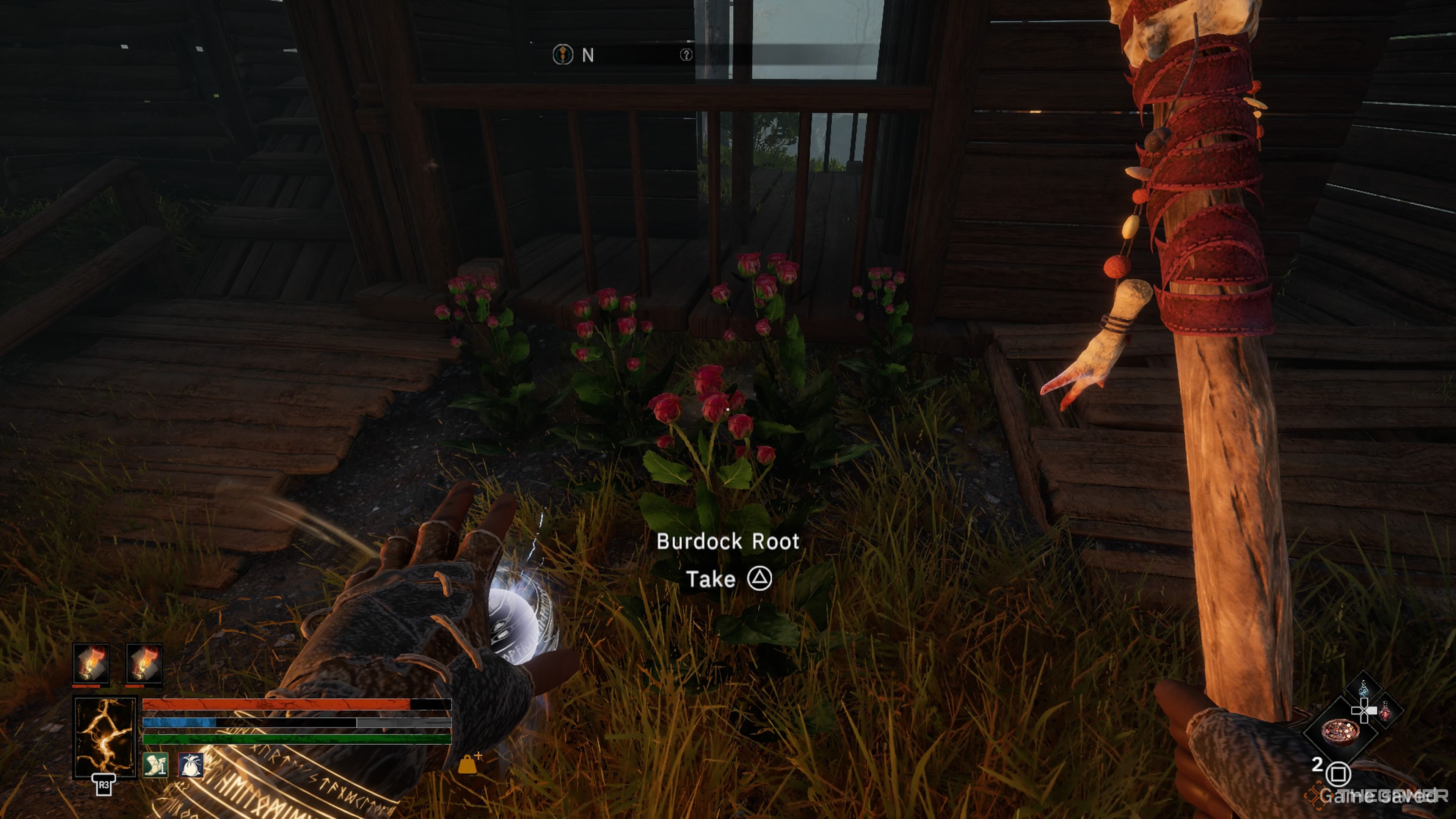 Player character standing by several Burdock Roots growing in an abandoned house in Tainted Grail: The Fall Of Avalon.