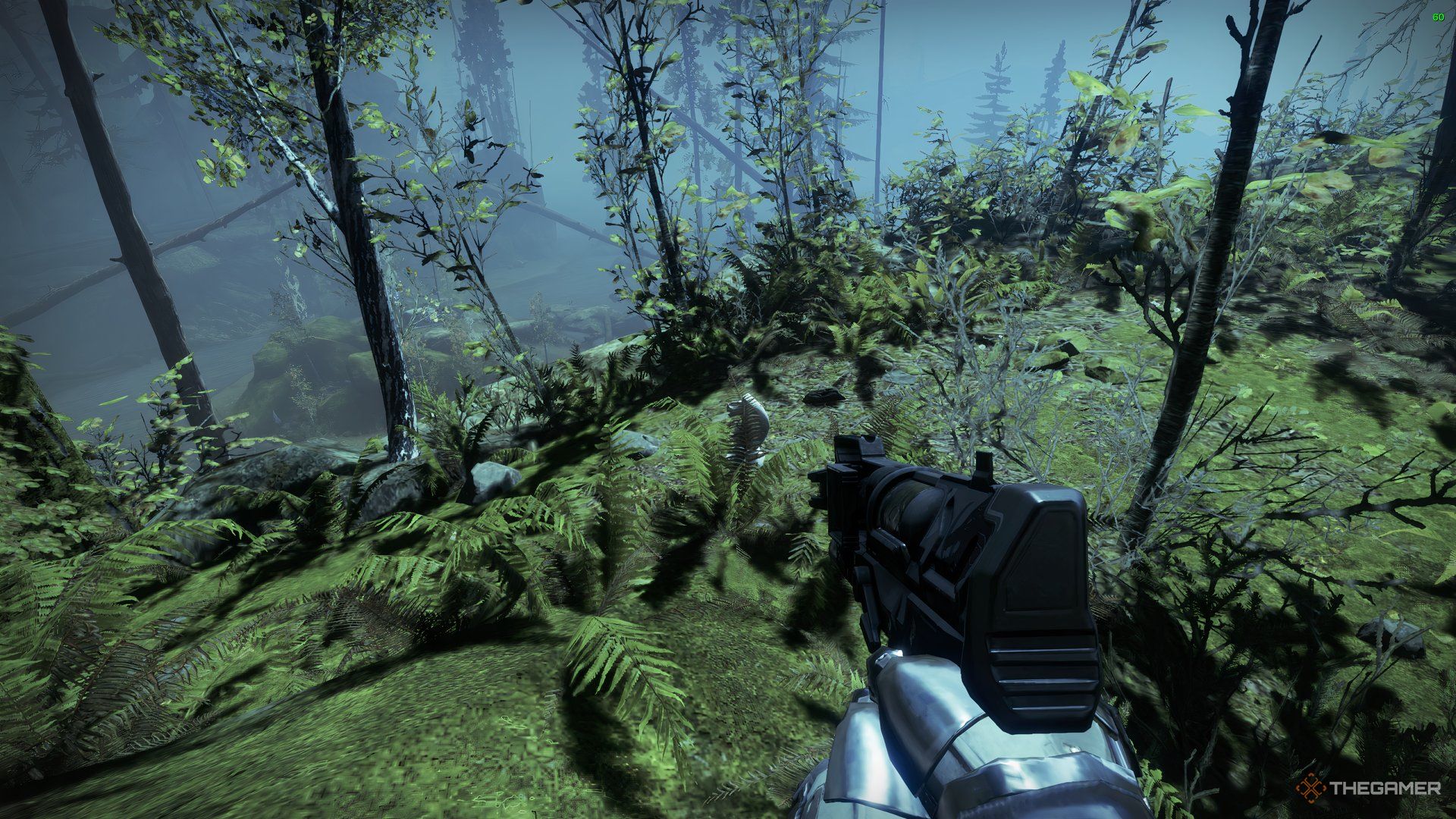 Guardian standing on a cliff overlooking the Winding Cove in Destiny 2: Heresy.
