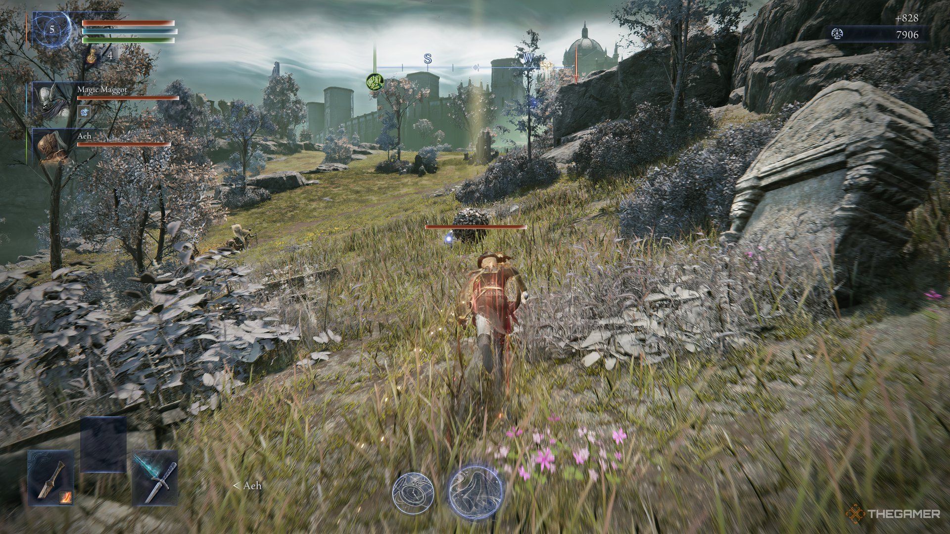 Duchess finds a scarab in a field in Limgrave and chases after it in Elden Ring Nightreign.