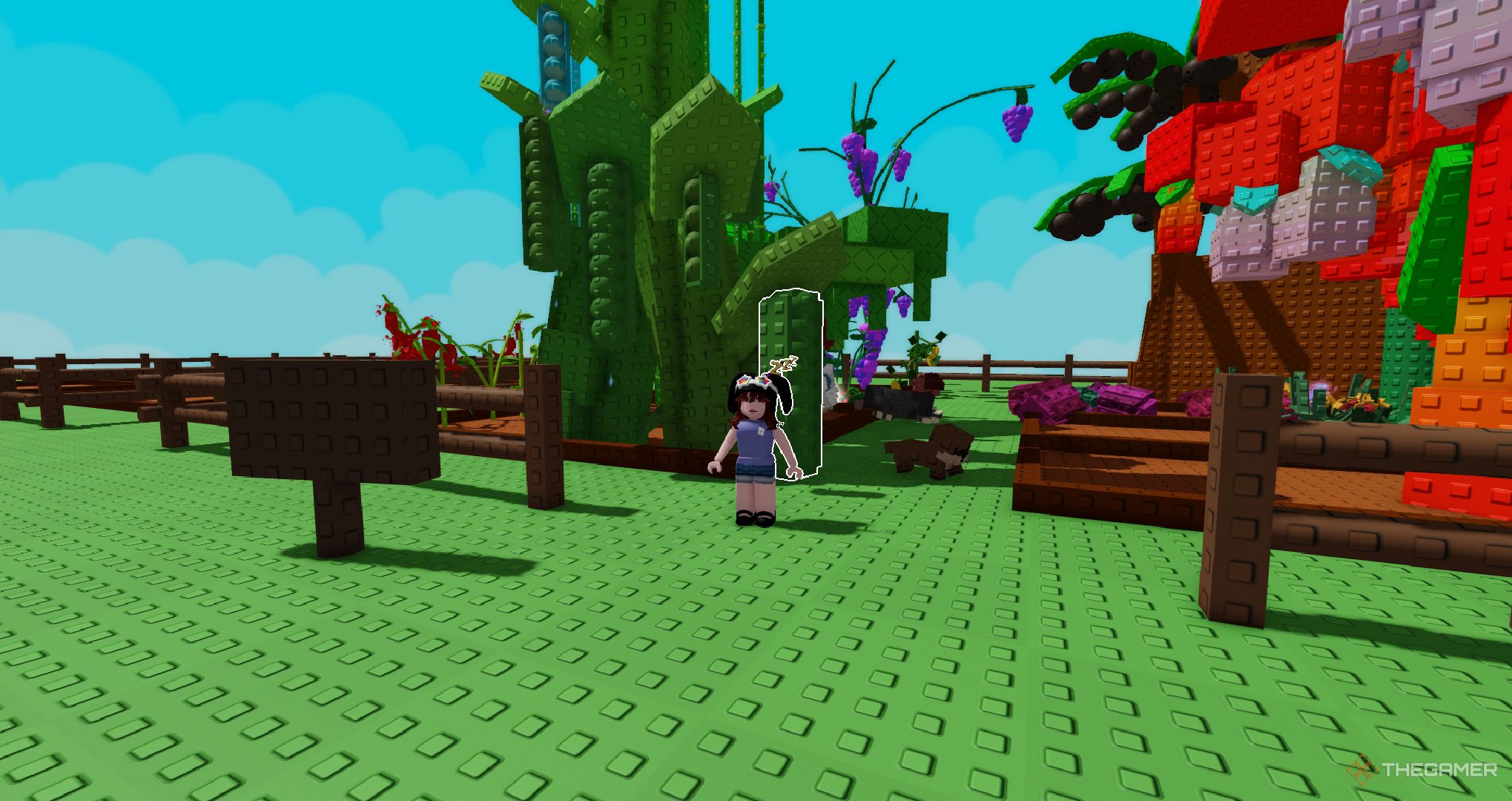 A player standing near a beanstalk in Roblox Grow A Garden.
